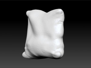 leather pillow 3D 모델
