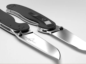 ontario rat 1 3D Model