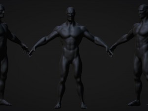 human Modelo 3D