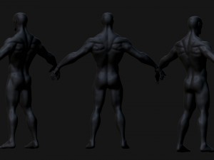 human Modelo 3D