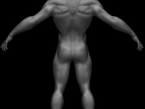 human Modelo 3D