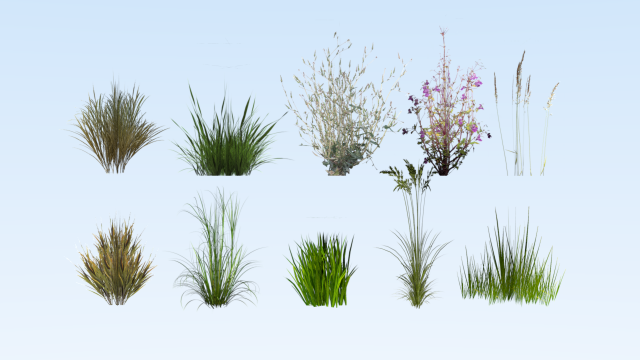 lowpoly grass pack 3D Model .c4d .max .obj .3ds .fbx .stl .blend 