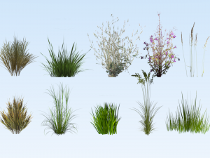 lowpoly grass pack 3D Model