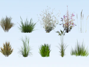 lowpoly graspakket 3D Model