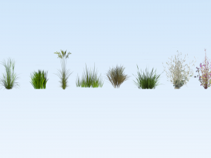 lowpoly grass pack 3D Model