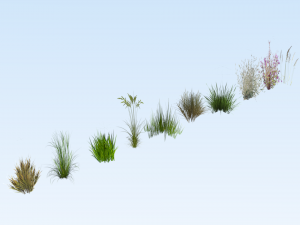 lowpoly grass pack 3D Model