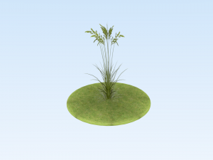 lowpoly grass pack 3D Model