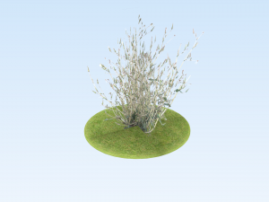 lowpoly grass pack 3D Model