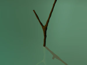 branch 3D Model