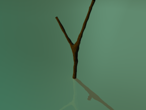 branch Modèle 3D