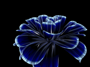 flower 3D Модель