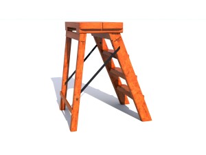 ladder Modello 3D