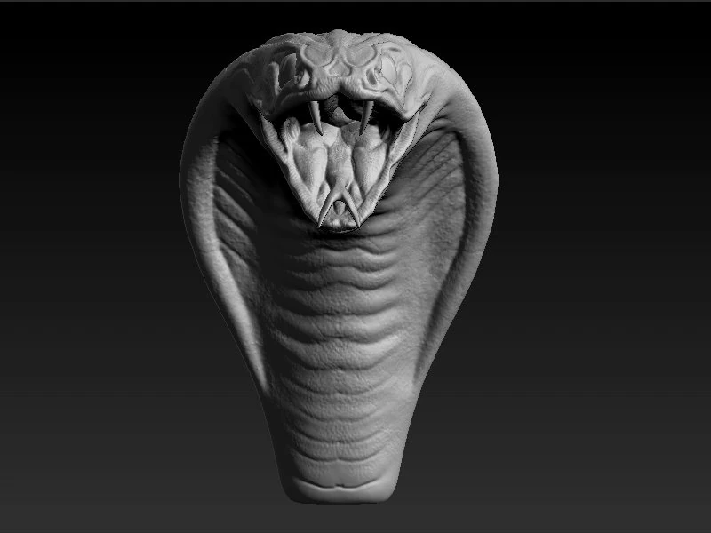 cobra head sculpt 3D Model .c4d .max .obj .3ds .fbx .stl .blend 