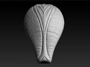 cobra head sculpt 3D Model