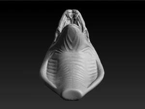 cobra head sculpt 3D Model