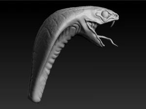 cobra head sculpt 3D Model