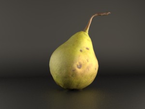 realistic 3d pear 3D 모델