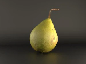 realistic 3d pear 3D Model