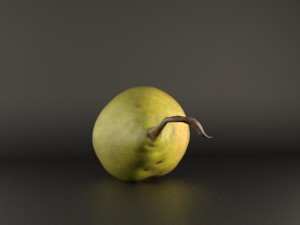 realistic 3d pear 3D Model