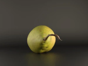realistic 3d pear 3D Model