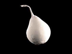 realistic 3d pear 3D Model