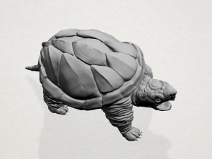 giant tortoise 3Dプリントモデル