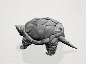 giant tortoise 3Dプリントモデル