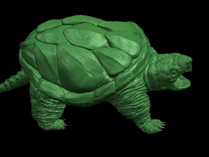giant tortoise 3Dプリントモデル