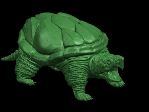 giant tortoise 3D Print Model