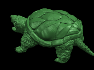 giant tortoise 3Dプリントモデル