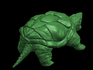 giant tortoise 3Dプリントモデル