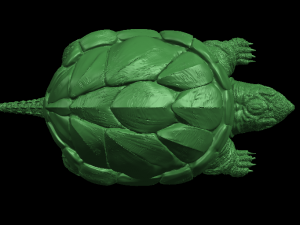 giant tortoise 3Dプリントモデル