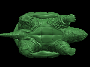 giant tortoise 3Dプリントモデル