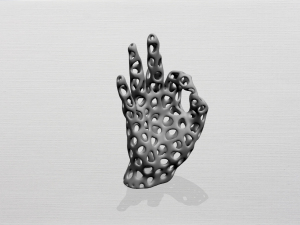 voronoi hand 3D-Druckmodell