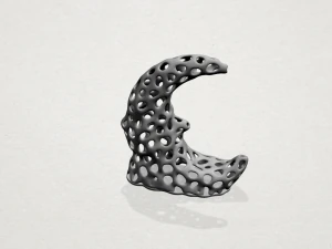 보로노이 문 3D 프린트 모델