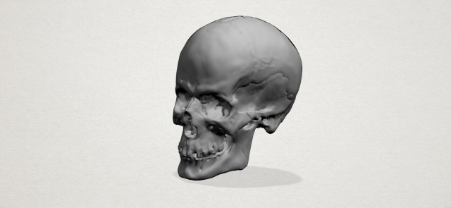 skull 3D Baskı Modeli .c4d .max .obj .3ds .fbx .stl .blend 