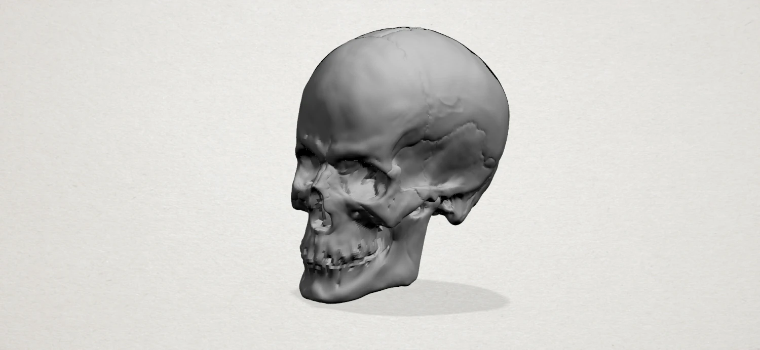 skull 3D Print Model .c4d .max .obj .3ds .fbx .stl .blend