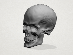 skull 3D Принт Модель
