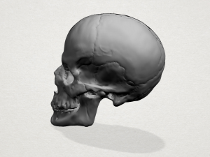 skull 3D Baskı Modeli