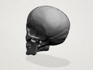 skull 3D Baskı Modeli