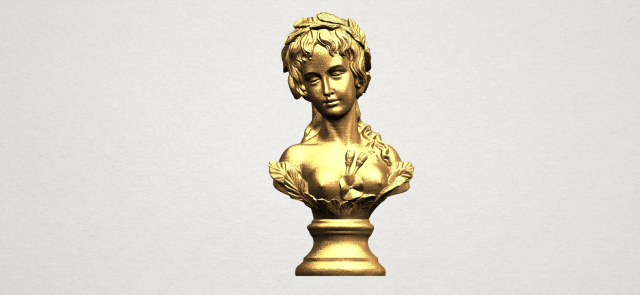 bust of venus 3Dプリントモデル .c4d .max .obj .3ds .fbx .stl .blend 