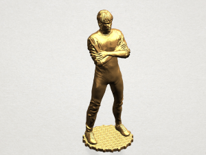 bruce lee 3D-Druckmodell