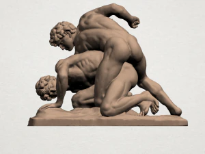 lucha Modelo de impresión 3D