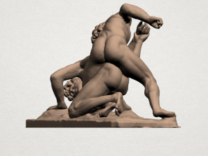 wrestling Modello di stampa 3D