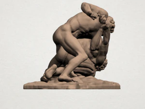 wrestling 3D Print Model