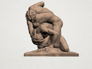 wrestling Modello di stampa 3D