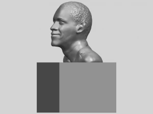 obama 3D Print Model