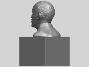 obama 3D Print Model