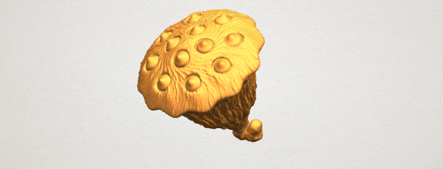 lotus seedpod 3D 프린트 모델 .c4d .max .obj .3ds .fbx .stl .blend 
