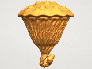 lotus seedpod 3D Print Model